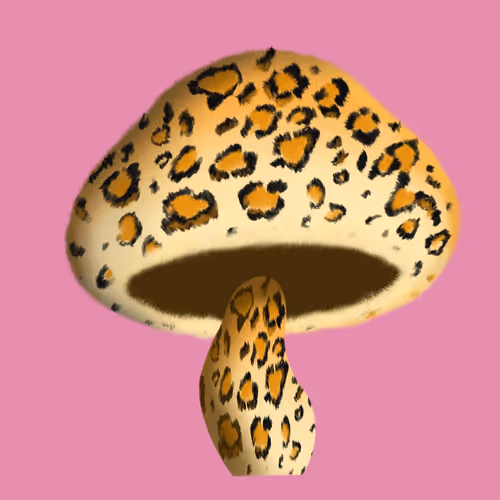 Item #46034849265832991985054005845495595569977159826723230396281256856492701646849 Media