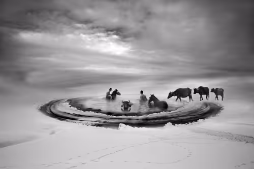 Item #73363223370355250909196244140857466626496998110185198638772903907034774110209 Media