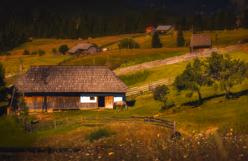 Pastoral