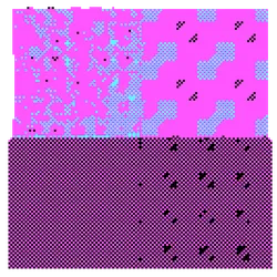 24107156077092175363471530907310782256517249807396110610861913619935940050945