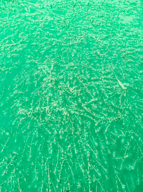 Item #98843954857266856101330559780238873570552098425130206222908042022052845060097 Media