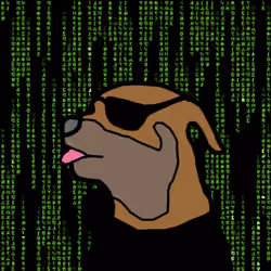 CryptoSami #310