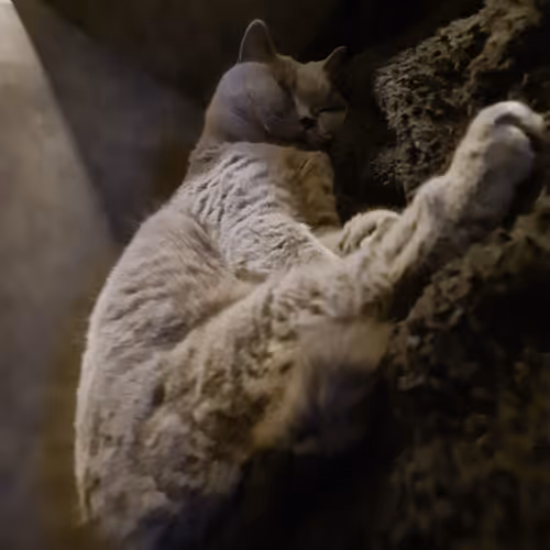 50378249515192140596651097190490243462828899571090436609561503719386842660865