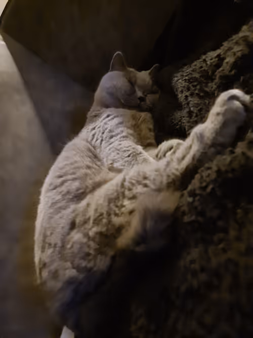 Item #50378249515192140596651097190490243462828899571090436609561503719386842660865 Media