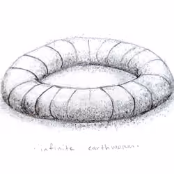 infinite earthworm