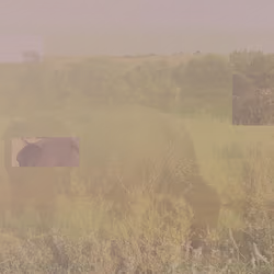 105089968166921690156624725616502706642431777719922472152070405778837384200193