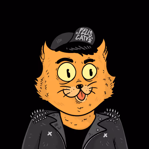 DorutheCat Collection