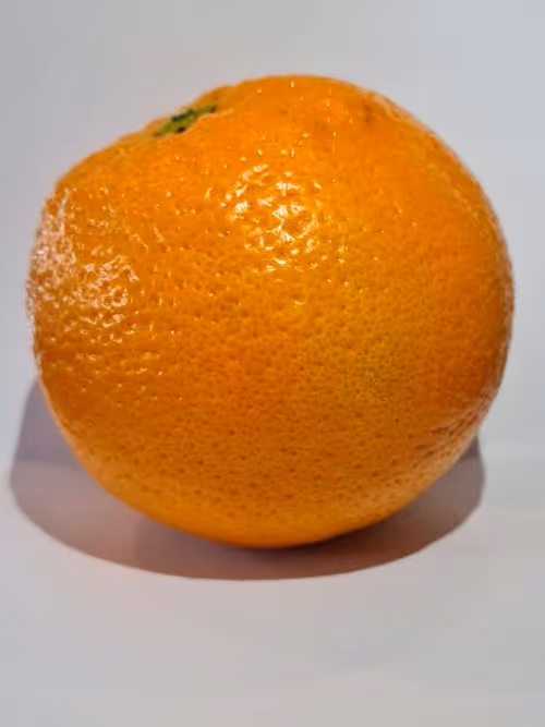 Item #17683800304600062908043897269454280992367193486295578213954005478847654395905 Media