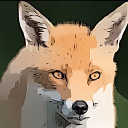 Fox 5