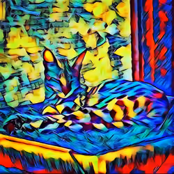 Savannah cat at rest 