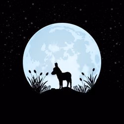 Animals By The Moon #68