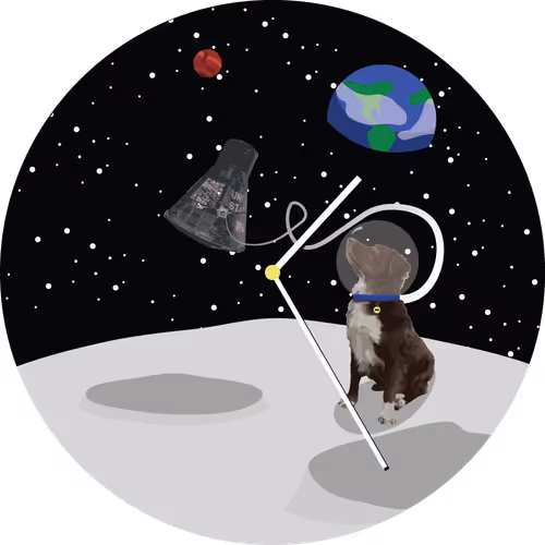 62529814977123004866789683723092300925944259153250042929703317171193872646145