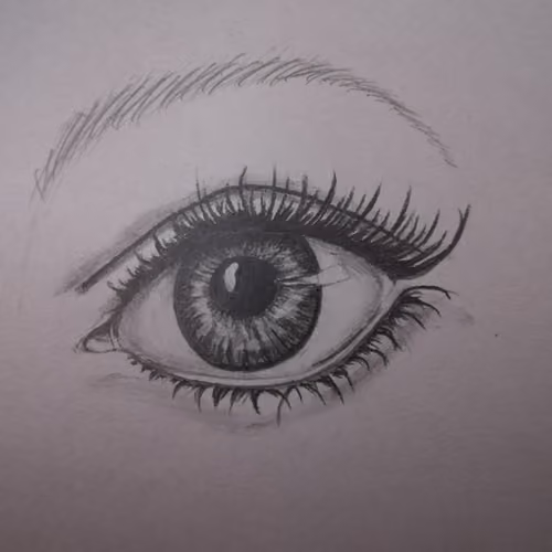 Untitled Collection #196523125