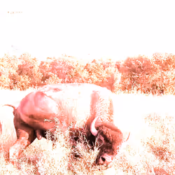 105089968166921690156624725616502706642431777719922472152070405799728105127937