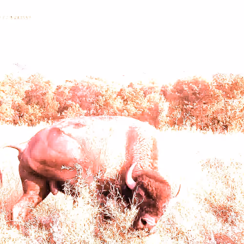 105089968166921690156624725616502706642431777719922472152070405799728105127937