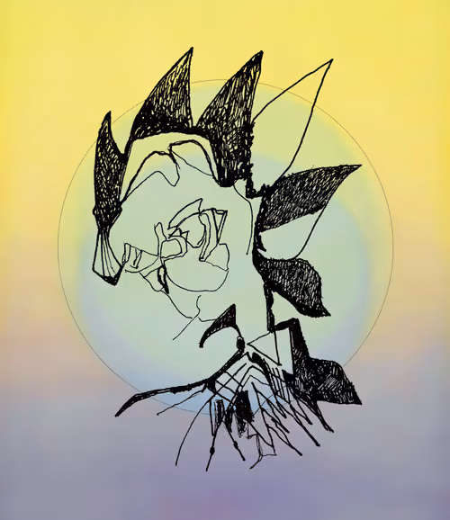 Item #16701068678880339589132782938086934820321303547858234323505494352726182592513 Media