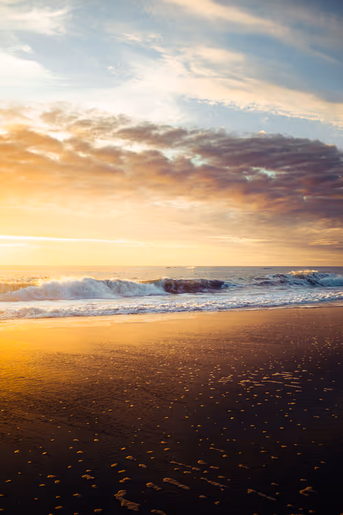 Item #28249669150142615207579555762608265536132247185199409993543532431077994921985 Media