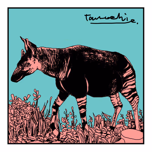 Item #112440547499717604048536072211740983446434024043436652955614128757884426649601 Media