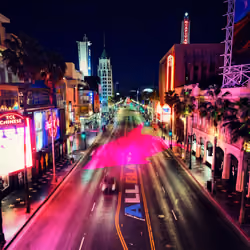 Hollywood Dolphin #1
