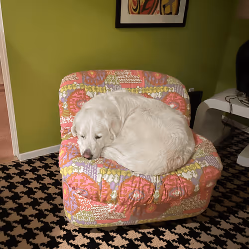 DoctorRigid Collection - old