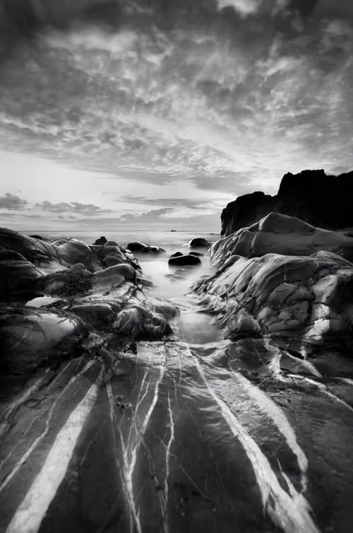 Item #41307754128955213419929316097644134962608763953462543917876022981645555466241 Media