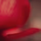 107338736840495903892700830333162816701828415005499690242546380974779483029505