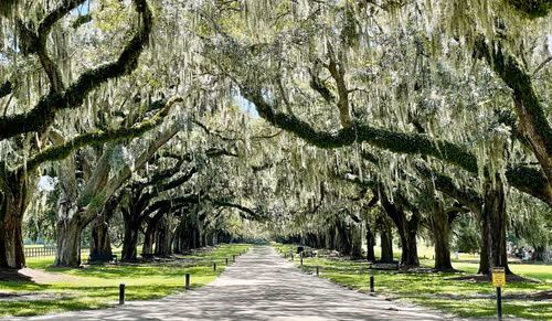 Item #60286361363657250857601775030637471218171117852543341295073304066827566972929 Media