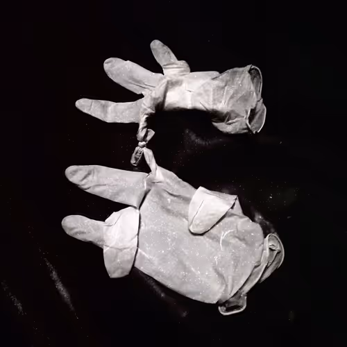 Item #19579465332489047460725573155417411555821182543570600011556976673055821529089 Media