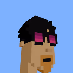 PunkVoxels #8205
