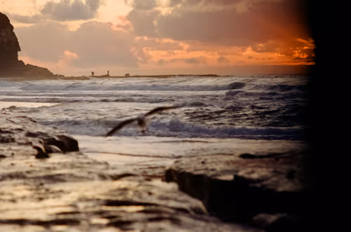 Item #29158143519667306174679199233279327141713317366366149551083667375119658909697 Media