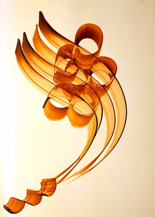 Item #63419806439455376926329327514984772497813812578709699789810852618798266056706 Media