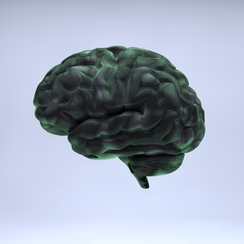 Item #77412820926303725204956055566925211190020908428863033075197849089578654236673 Media