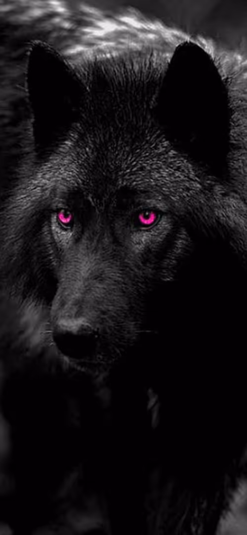 Item #81353619104543552761017849026197782989935589479573878427591292124455583612929 Media