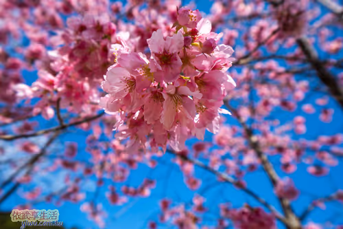 Item #100744422725674417057824683306763013505668843176654858816283483942827629477889 Media