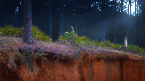 Yuri + Judy Lindsay Collaborations