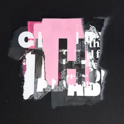 73279936770339835116712300459053291732661164604162613604990503628488247869441