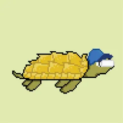 68368698408735247365987675467258475760835663587921114808256067205083498020865