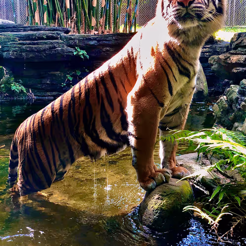 Untitled Collection #103325488