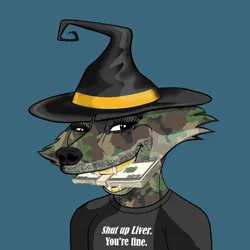 54481440793205298735061898990212315005578656052006715167163203689567410454529