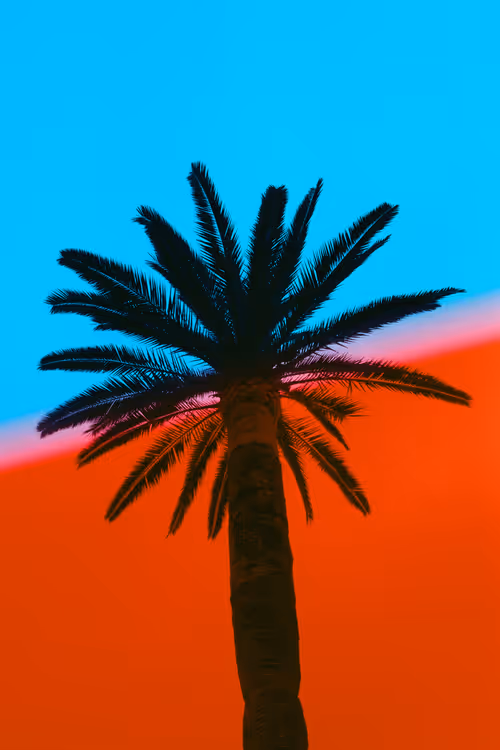 Item #5413503369973329432821456092010802972658756522015108284211086385648072916993 Media