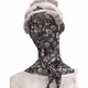 37340016891440833466868420494662136117429148958728227181374870051273574449153