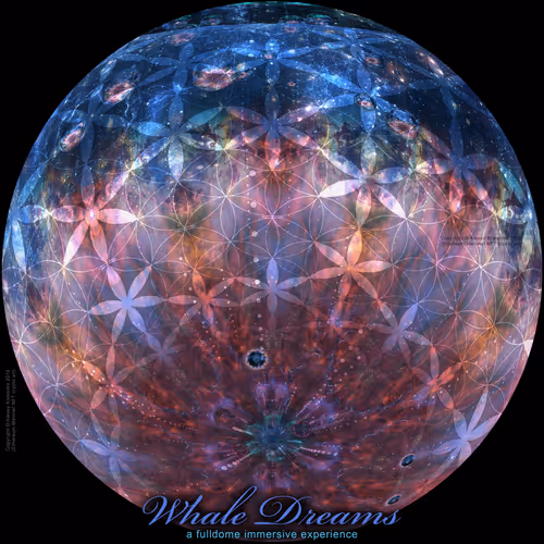 Item #62031355304717605018779556658742752580480266071018607637947581419532664700929 Media