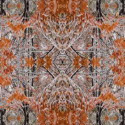 Foliage Rug