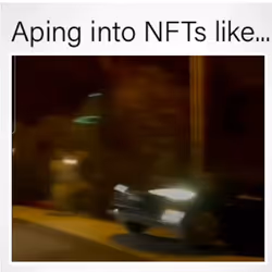 Aping into NFTs like...