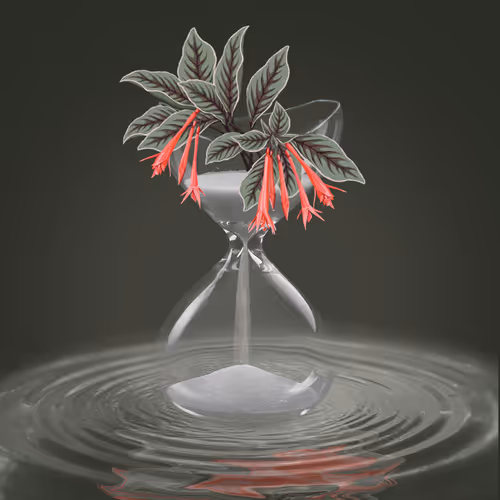 Item #30633197039537148201970467665624325239962968922618725979957149614504404844545 Media