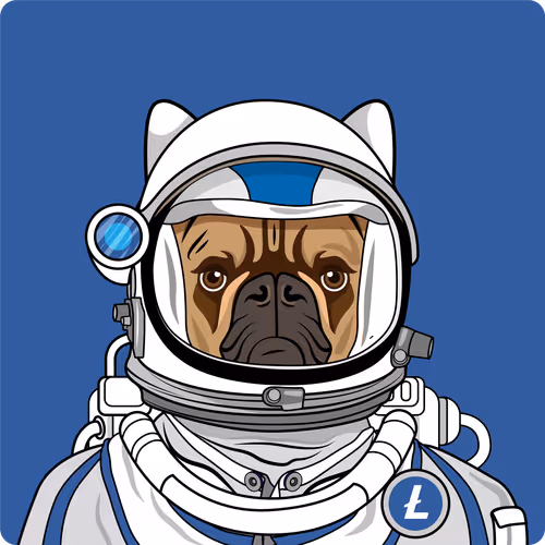 Item #65695530338317565886450650659772509774405274730065055656540856537688974557185 Media