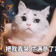 qqq73