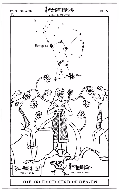 Item #72428202001668189821112342847260883540127111684781981942259052856348829024257 Media
