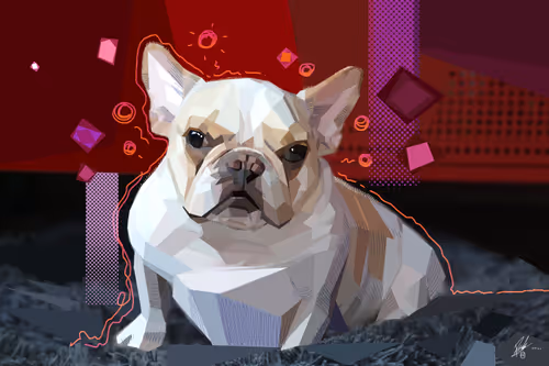 Item #56669498029202450346916797523249832166720531002368278834248555995721621307393 Media