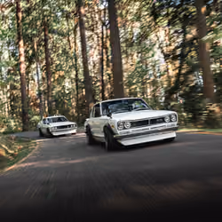 Kenmeri Chases Hakosuka
